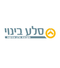 סלע בינוי
